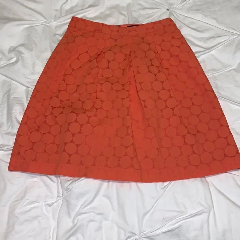 The Limited Skirt - Picture 2 of 5
